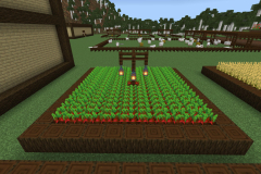 Central-Hub-Farm-Pic-11