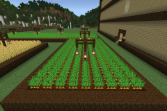 Central-Hub-Farm-Pic-12