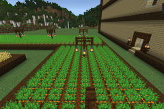Central-Hub-Farm-Pic-13