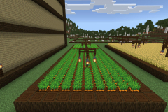Central-Hub-Farm-Pic-14