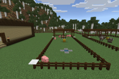 Central-Hub-Farm-Pic-15