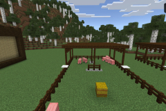 Central-Hub-Farm-Pic-16
