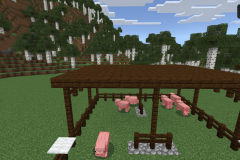 Central-Hub-Farm-Pic-17