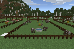 Central-Hub-Farm-Pic-18