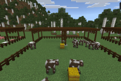Central-Hub-Farm-Pic-19