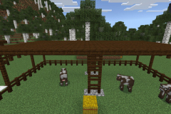 Central-Hub-Farm-Pic-20