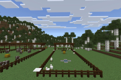 Central-Hub-Farm-Pic-21