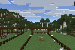 Central-Hub-Farm-Pic-22