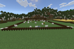 Central-Hub-Farm-Pic-24