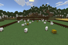 Central-Hub-Farm-Pic-25