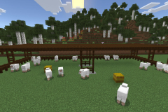 Central-Hub-Farm-Pic-26