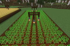 Central-Hub-Farm-Pic-3