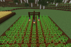 Central-Hub-Farm-Pic-4