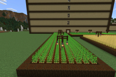 Central-Hub-Farm-Pic-5