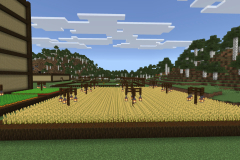 Central-Hub-Farm-Pic-6