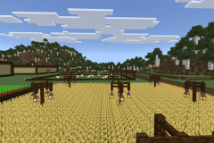 Central-Hub-Farm-Pic-7