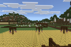 Central-Hub-Farm-Pic-8