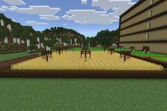 Central-Hub-Farm-Pic-9