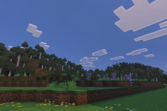 Central-Hub-Land-Cleared-Pic-9