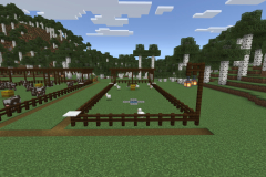 Central Hub Lighting And Pathways