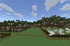 Central-Hub-Lighting-And-Pathways-Pic-16