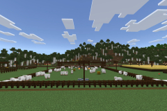 Central-Hub-Lighting-And-Pathways-Pic-17