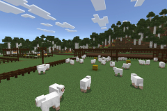 Central-Hub-Lighting-And-Pathways-Pic-18