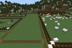 Central-Hub-Lighting-And-Pathways-Pic-20