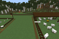 Central-Hub-Lighting-And-Pathways-Pic-21