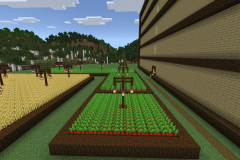 Central-Hub-Lighting-And-Pathways-Pic-23