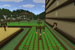 Central-Hub-Lighting-And-Pathways-Pic-24