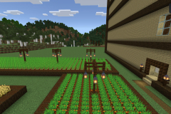 Central-Hub-Lighting-And-Pathways-Pic-25