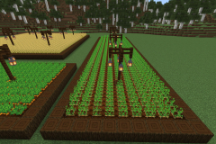 Central-Hub-Lighting-And-Pathways-Pic-26