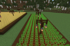 Central-Hub-Lighting-And-Pathways-Pic-27