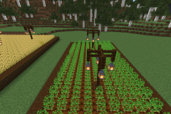 Central-Hub-Lighting-And-Pathways-Pic-28