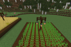 Central-Hub-Lighting-And-Pathways-Pic-29