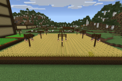 Central-Hub-Lighting-And-Pathways-Pic-30