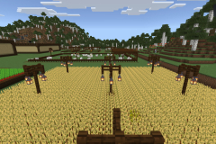 Central-Hub-Lighting-And-Pathways-Pic-31