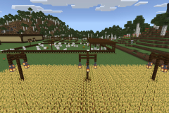 Central-Hub-Lighting-And-Pathways-Pic-32