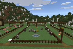 Central-Hub-Lighting-And-Pathways-Pic-5