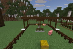 Central-Hub-Lighting-And-Pathways-Pic-9