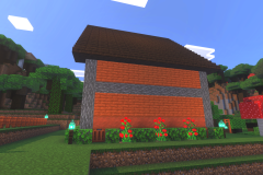 Starter-Village-Happysouls-House-Pic-2
