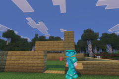 Mega-Home-Base-Pic-2