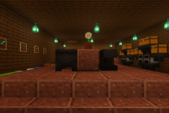 New-World-Storage-Area-Pic-16