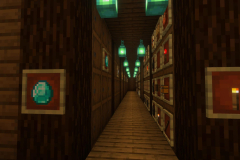 New-World-Storage-Area-Pic-20