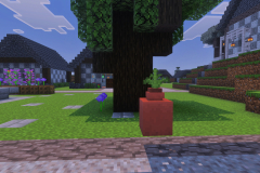 Second-Village-Happysouls-Park-Pic-10