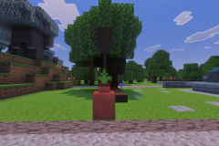 Second-Village-Happysouls-Park-Pic-11