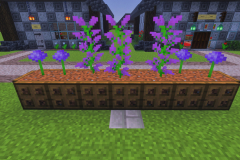 Second-Village-Happysouls-Park-Pic-7