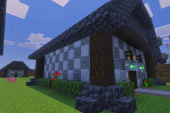 Second-VIllage-Missys-Diner-Pic-3