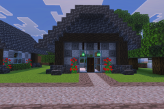 Second-Village-Soulwatchers-Back-Row-Villager-Houses-Pic-17